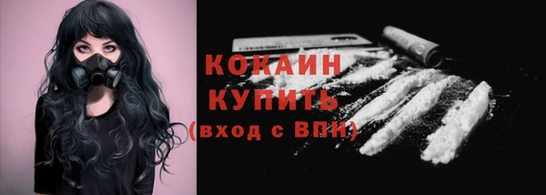 спиды Новозыбков
