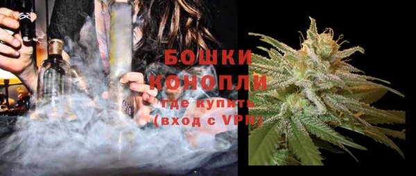 спиды Новозыбков