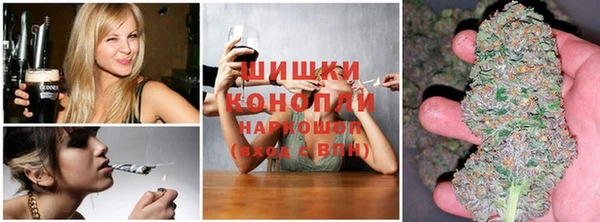 мяу мяу мука Новодвинск