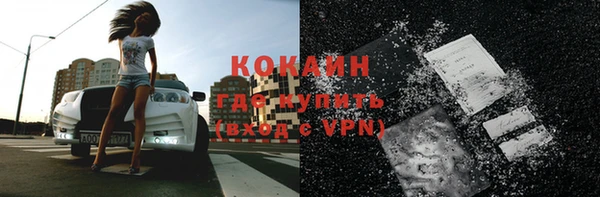 спиды Новозыбков