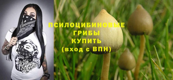 дурь Новокубанск