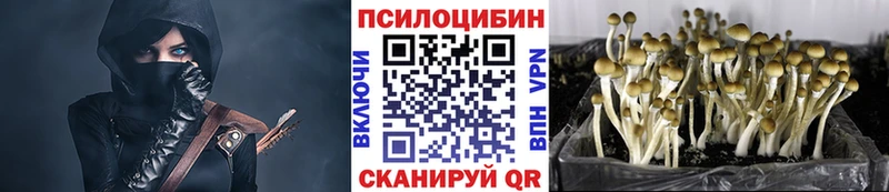 купить наркотики цена  Нижневартовск  Галлюциногенные грибы Cubensis 