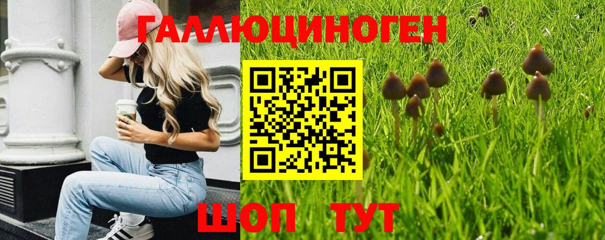 Псилоцибиновые грибы MAGIC MUSHROOMS Нижневартовск