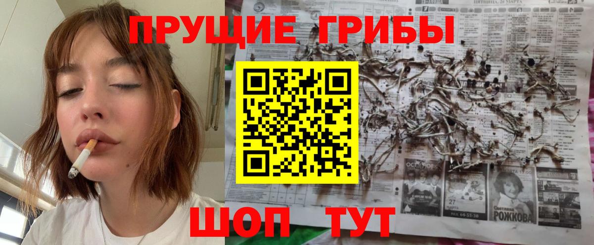 Нижневартовск  Псилоцибиновые грибы GOLDEN TEACHER  Вход с VPN 